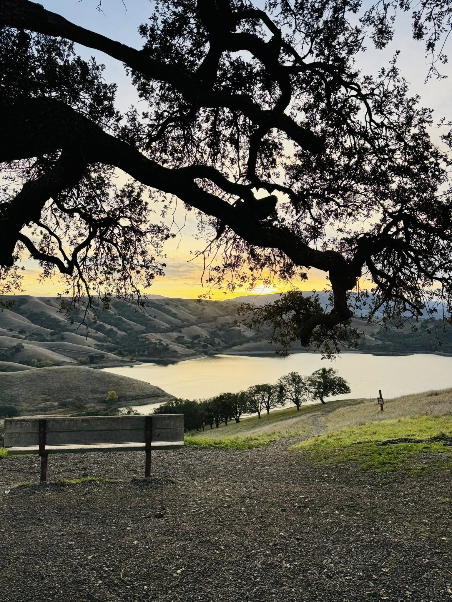 Let's step outdoors